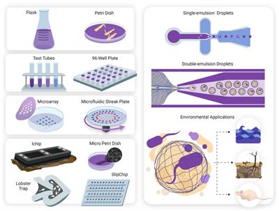 Micro-Technologies for Assessing Microbial Dynamics in Controlled Environments